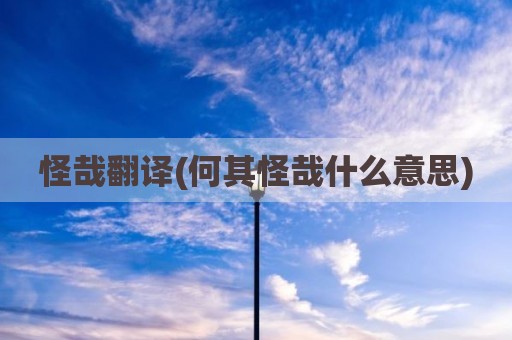 怪哉翻译(何其怪哉什么意思)