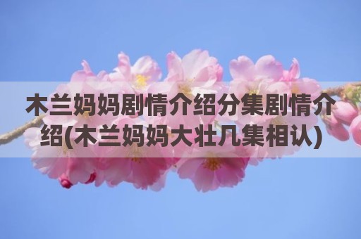 木兰妈妈剧情介绍分集剧情介绍(木兰妈妈大壮几集相认)