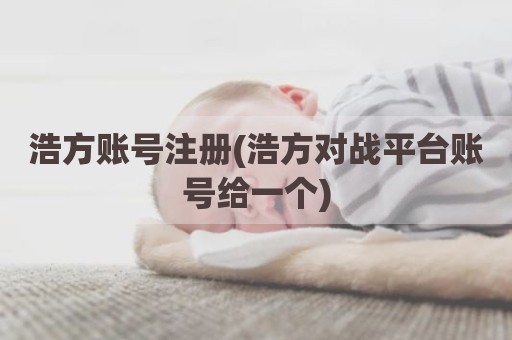 浩方账号注册(浩方对战平台账号给一个)