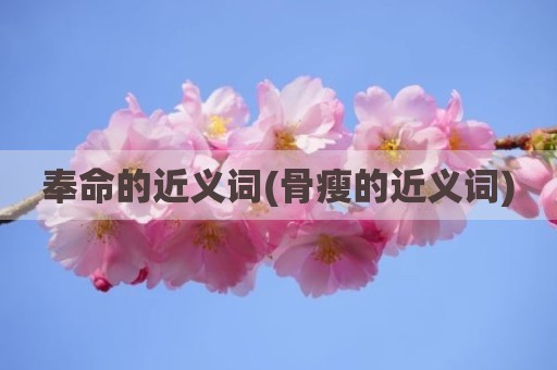 奉命的近义词(骨瘦的近义词)
