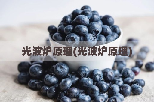 光波炉原理(光波炉原理)