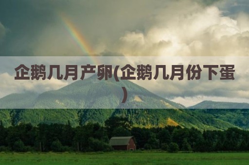 企鹅几月产卵(企鹅几月份下蛋)