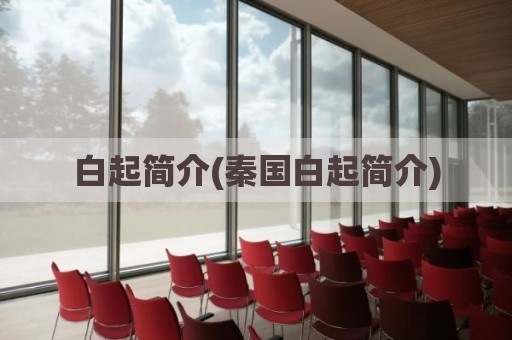 白起简介(秦国白起简介)