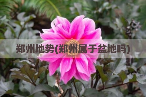 郑州地势(郑州属于盆地吗)