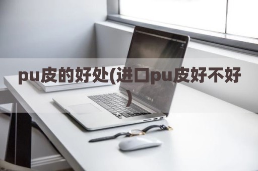 pu皮的好处(进口pu皮好不好)