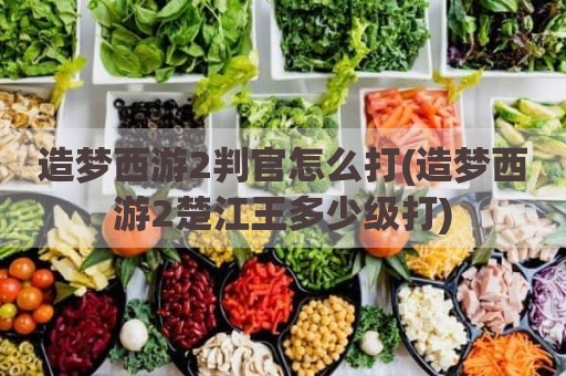 造梦西游2判官怎么打(造梦西游2楚江王多少级打)
