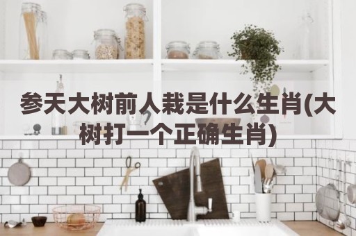 参天大树前人栽是什么生肖(大树打一个正确生肖)