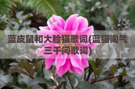 蓝皮鼠和大脸猫歌词(蓝猫淘气三千问歌词)