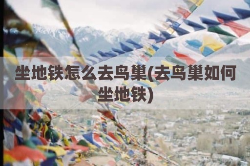 坐地铁怎么去鸟巢(去鸟巢如何坐地铁)