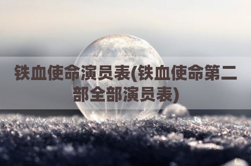铁血使命演员表(铁血使命第二部全部演员表)