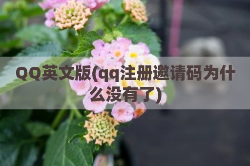 QQ英文版(qq注册邀请码为什么没有了)