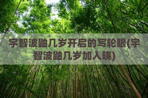 宇智波鼬几岁开启的写轮眼(宇智波鼬几岁加入晓)