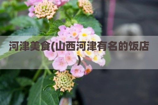 河津美食(山西河津有名的饭店)