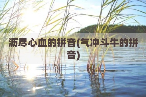 沥尽心血的拼音(气冲斗牛的拼音)