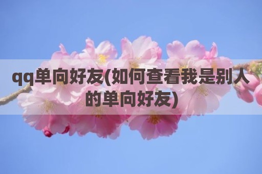 qq单向好友(如何查看我是别人的单向好友)
