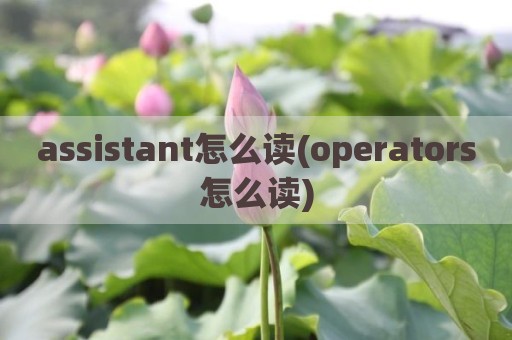 assistant怎么读(operators怎么读)