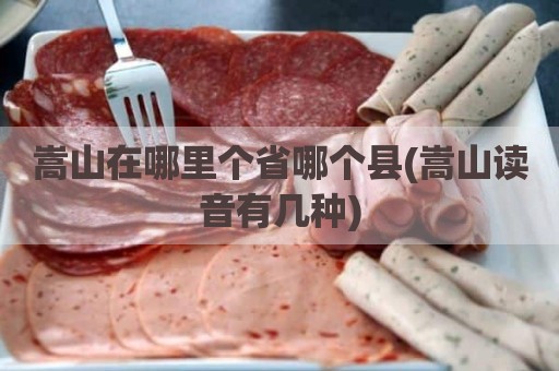 嵩山在哪里个省哪个县(嵩山读音有几种)