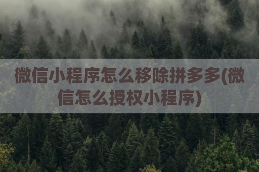 微信小程序怎么移除拼多多(微信怎么授权小程序)