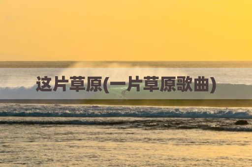这片草原(一片草原歌曲)