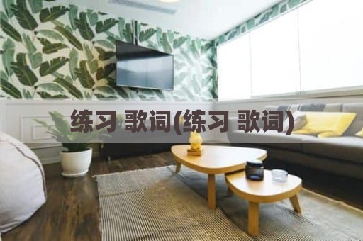 练习 歌词(练习 歌词)