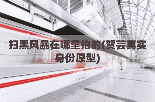 扫黑风暴在哪里拍的(贺芸真实身份原型)