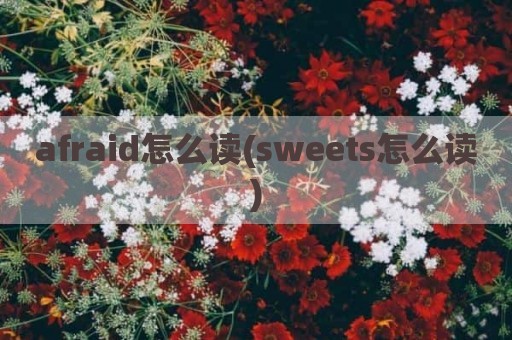 afraid怎么读(sweets怎么读)