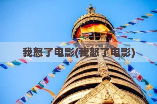 我怒了电影(我怒了电影)