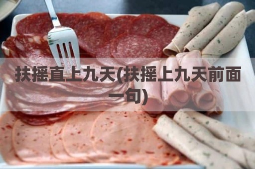 扶摇直上九天(扶摇上九天前面一句)