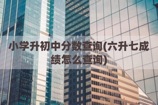 小学升初中分数查询(六升七成绩怎么查询)