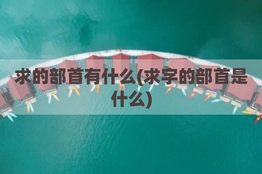 求的部首有什么(求字的部首是什么)