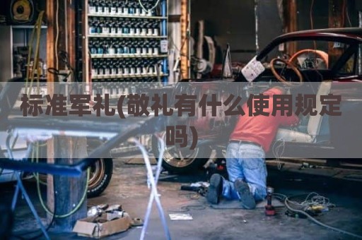 标准军礼(敬礼有什么使用规定吗)