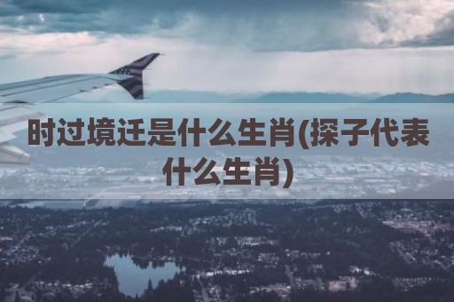 时过境迁是什么生肖(探子代表什么生肖)