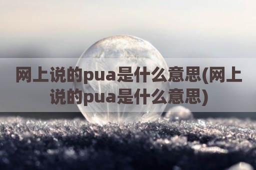 网上说的pua是什么意思(网上说的pua是什么意思)