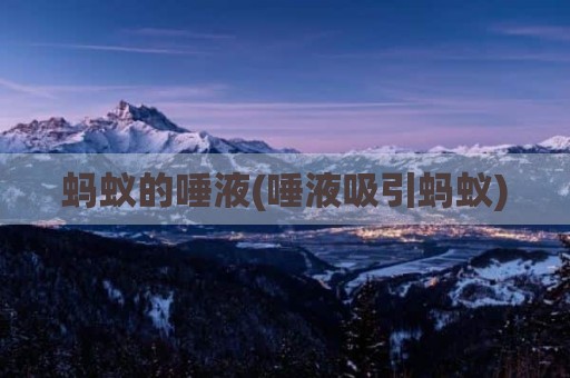 蚂蚁的唾液(唾液吸引蚂蚁)