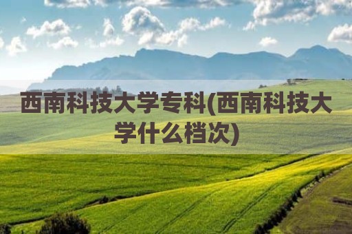西南科技大学专科(西南科技大学什么档次)