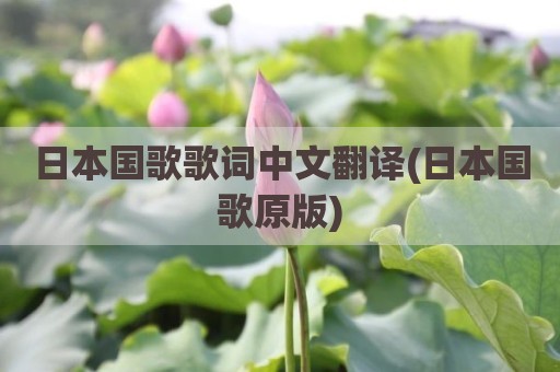 日本国歌歌词中文翻译(日本国歌原版)