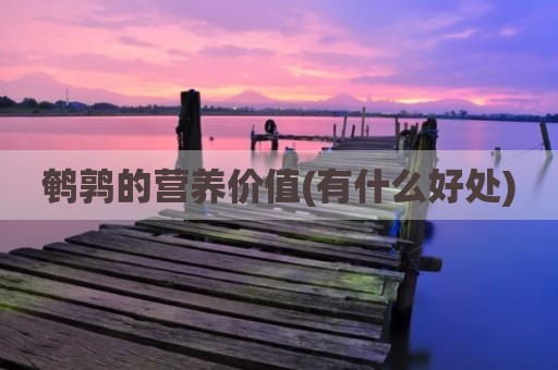 鹌鹑的营养价值(有什么好处)