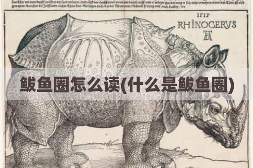 鲅鱼圈怎么读(什么是鲅鱼圈)