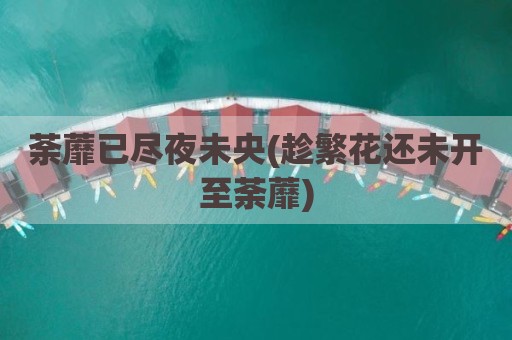 荼蘼已尽夜未央(趁繁花还未开至荼蘼)