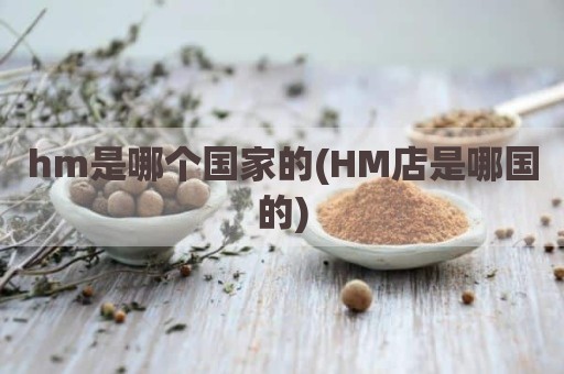 hm是哪个国家的(HM店是哪国的)