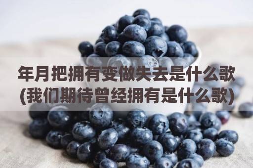 年月把拥有变做失去是什么歌(我们期待曾经拥有是什么歌)
