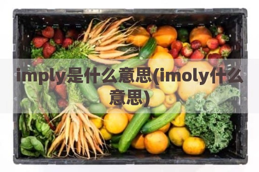 imply是什么意思(imoly什么意思)
