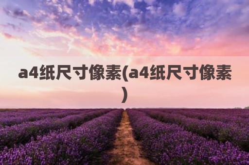 a4纸尺寸像素(a4纸尺寸像素)