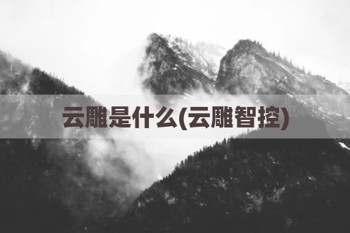 云雕是什么(云雕智控)