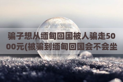 骗子想从缅甸回国被人骗走5000元(被骗到缅甸回国会不会坐牢)