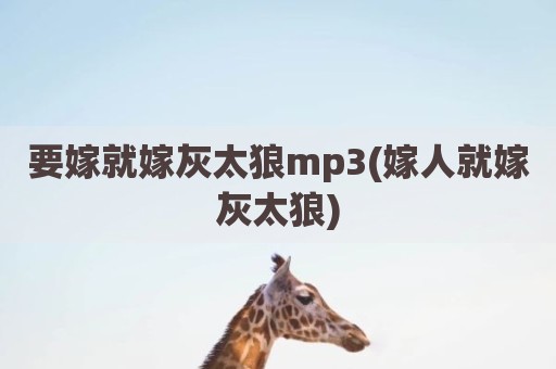 要嫁就嫁灰太狼mp3(嫁人就嫁灰太狼)