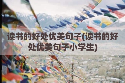 读书的好处优美句子(读书的好处优美句子小学生)
