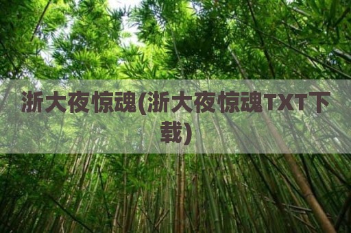 浙大夜惊魂(浙大夜惊魂TXT下载)