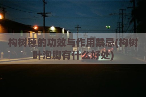 构树穗的功效与作用禁忌(构树叶泡脚有什么好处)
