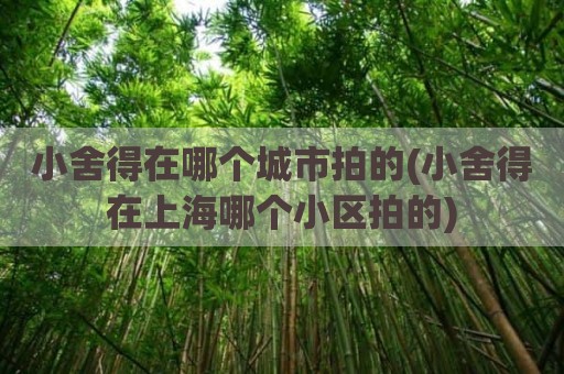 小舍得在哪个城市拍的(小舍得在上海哪个小区拍的)